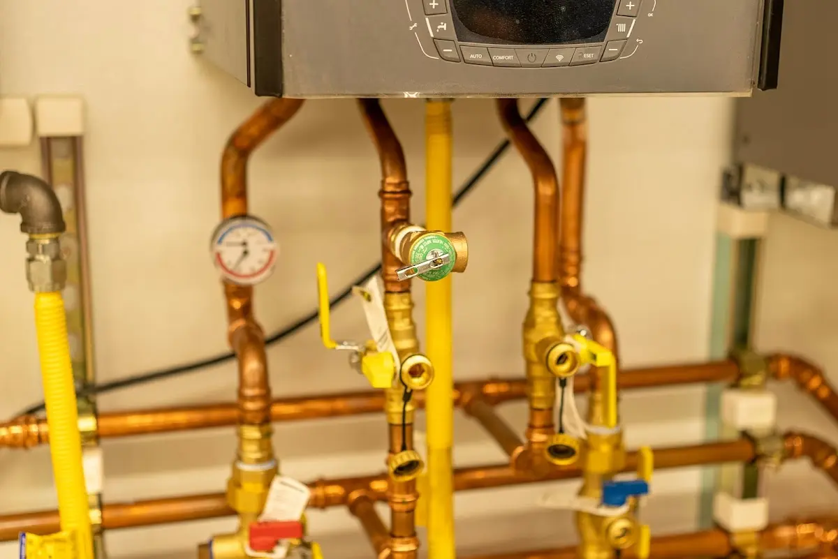 Licensed technician providing Emergency Plumbing for a homeowner in Lake Stickney